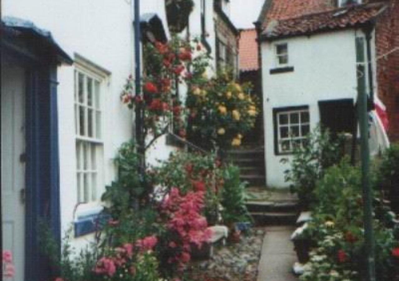 Alice Cottage Робин Худ'с Бей Екстериор снимка